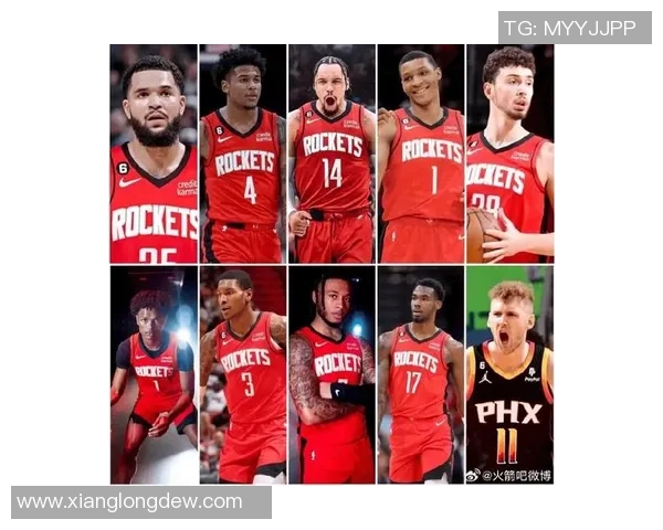 国王队与掘金队对决数据深度分析及战术解析